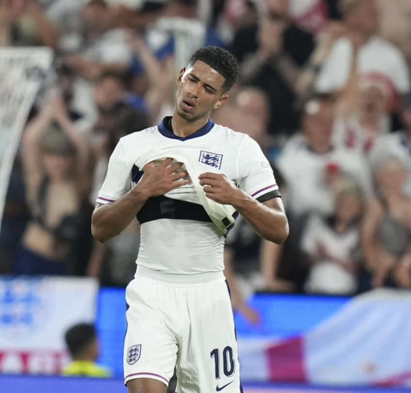 力和适应性 力和适应性