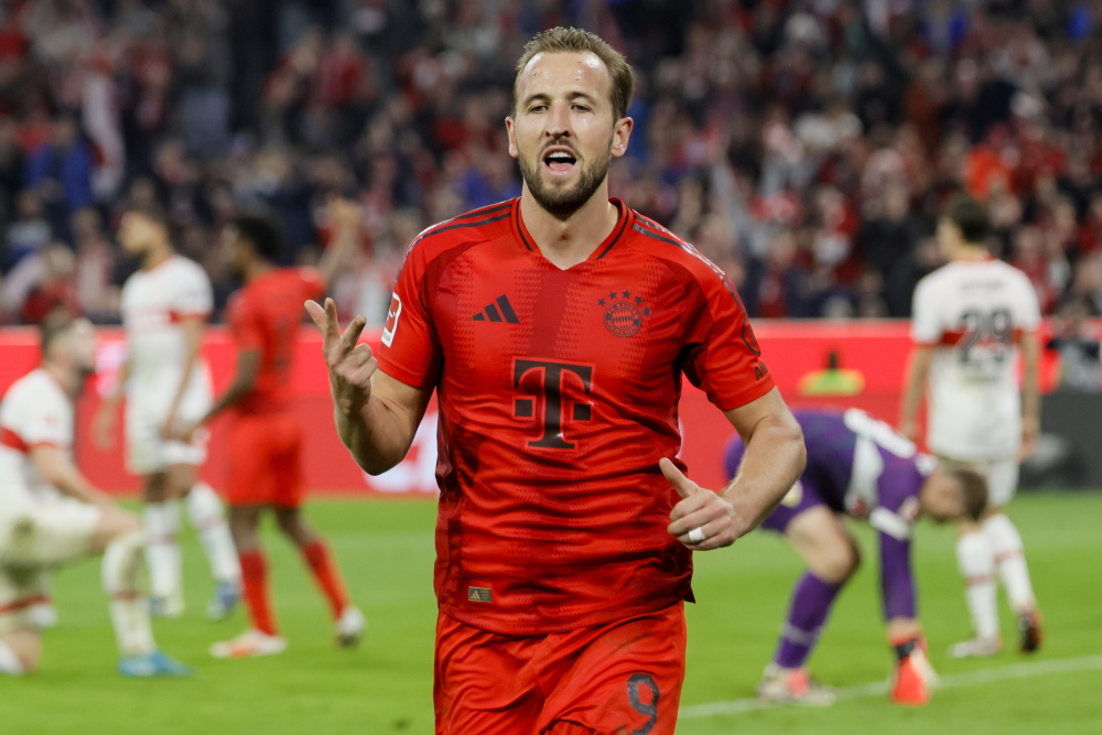 迷情感的对 迷情感的对