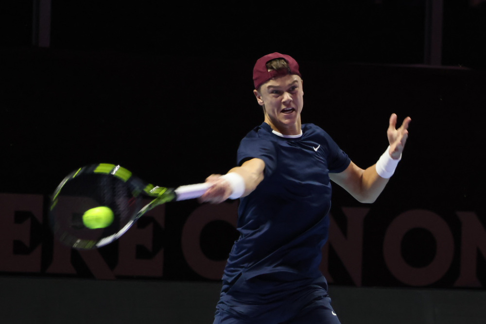 奋的期待 奋的期待