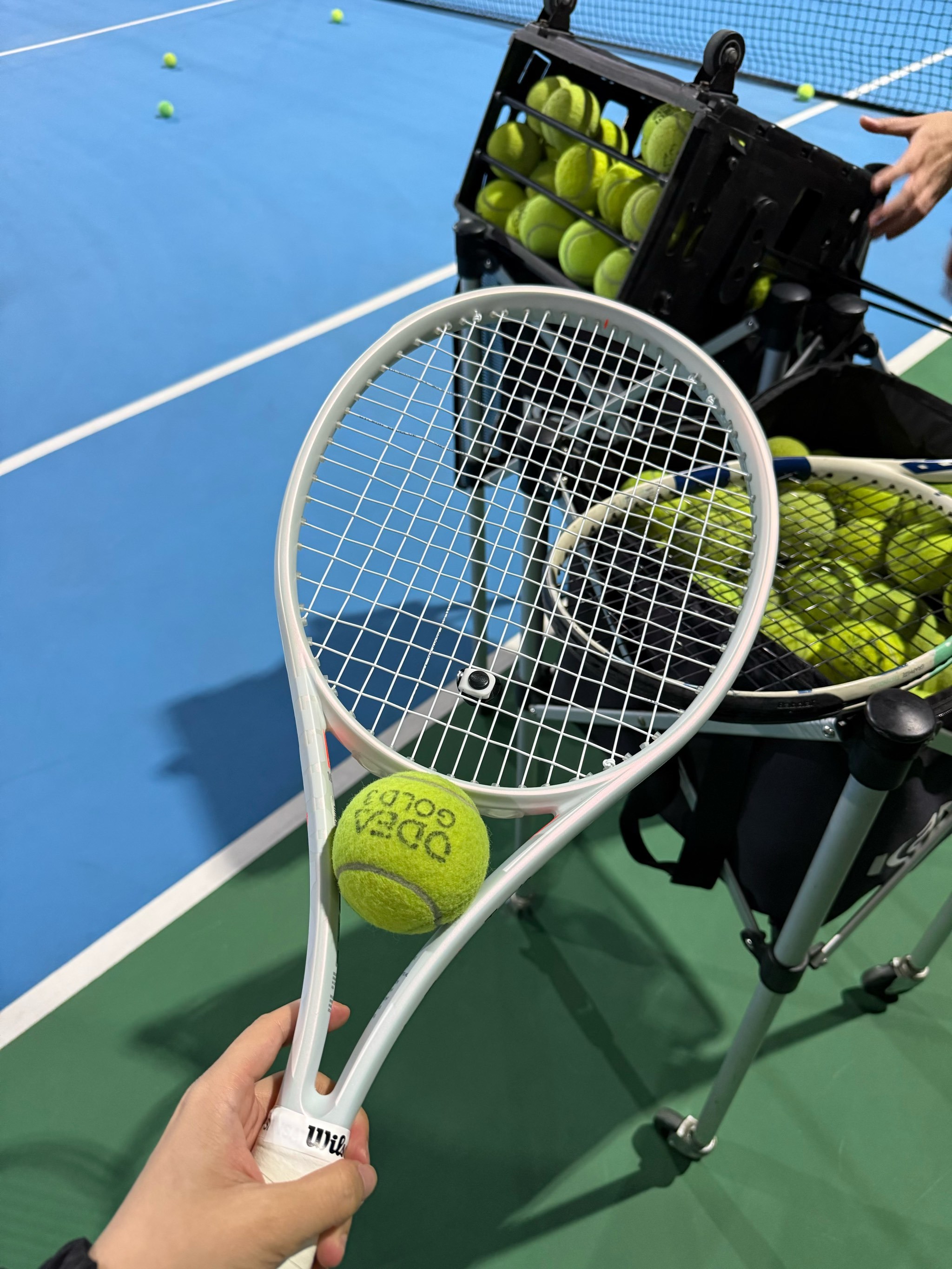 的专注与坚 的专注与坚